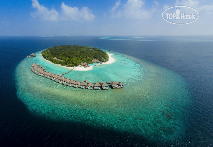 Фото Dusit Thani Maldives