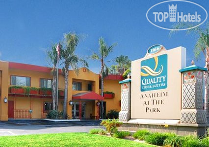 Фото Quality Inn & Suites Anaheim at the Park