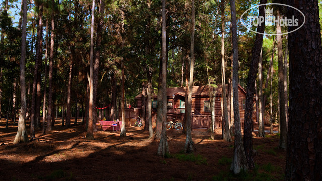 Фото The Cabins at Disney's Fort Wilderness Resort