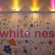 Фото White Nest Hostel