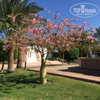 Фото Sonesta Pharaoh Beach Resort 5*