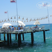 Фото Club Hotel Sera 5*