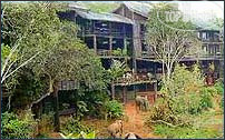 Фото Shimba Rainforest Lodge