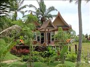 Фото Palm Paradise Resort