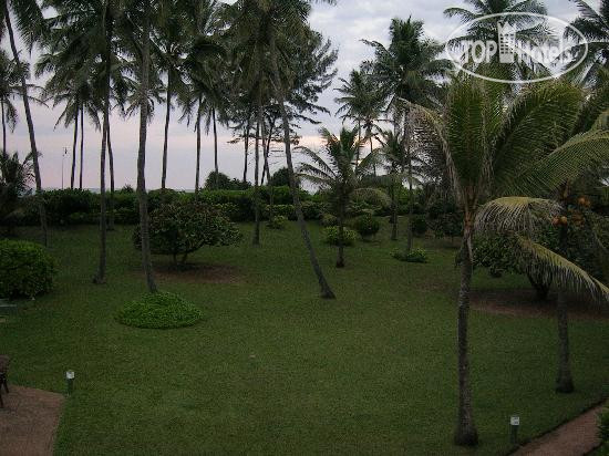 Фото Palm Village
