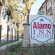 Фото Alamo Inn & Suites