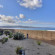 Фото Best Western Plus Beach Resort Monterey